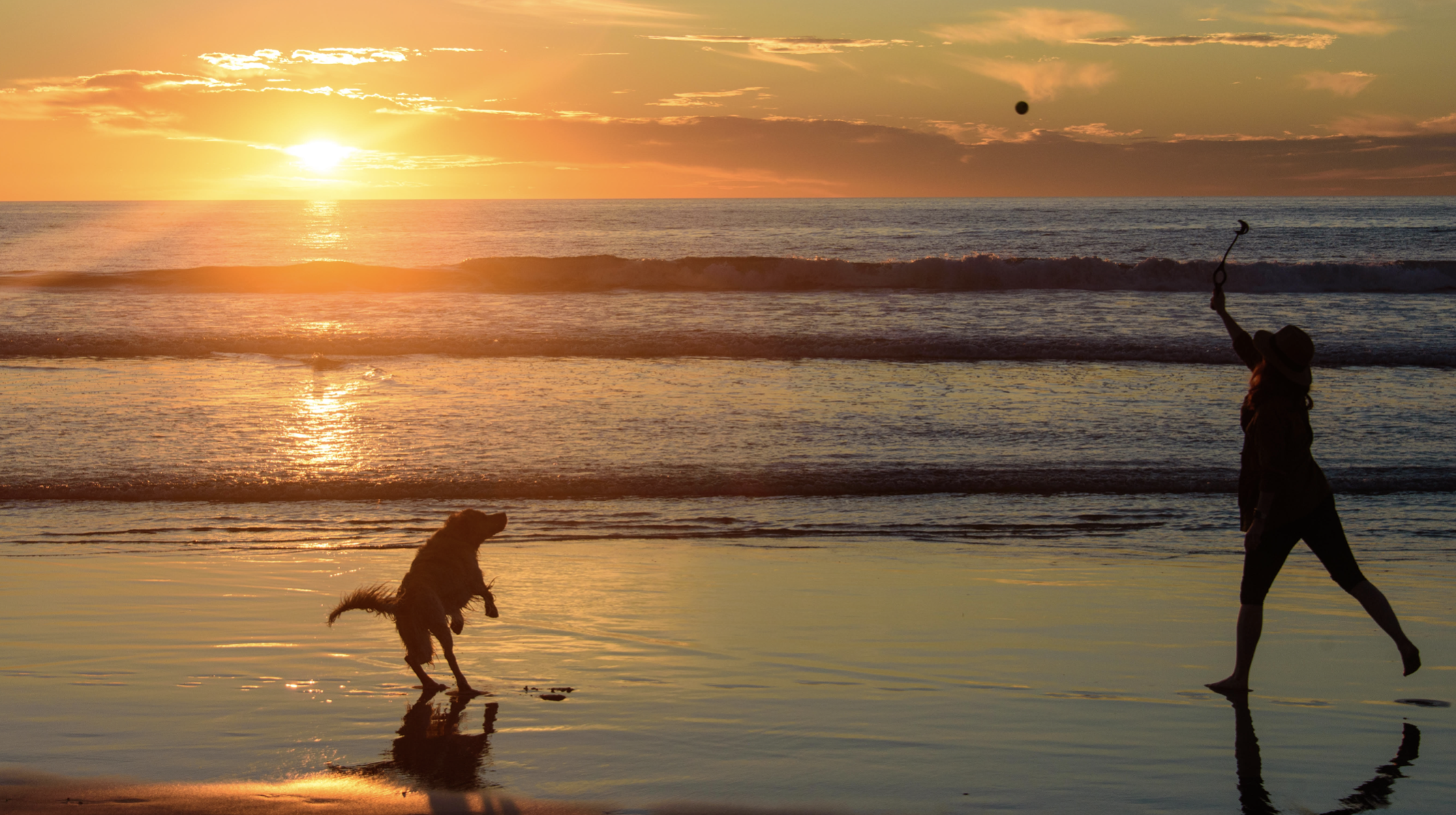 Silhouetted woman on a beach throws a stick towards a dog while the sun sets