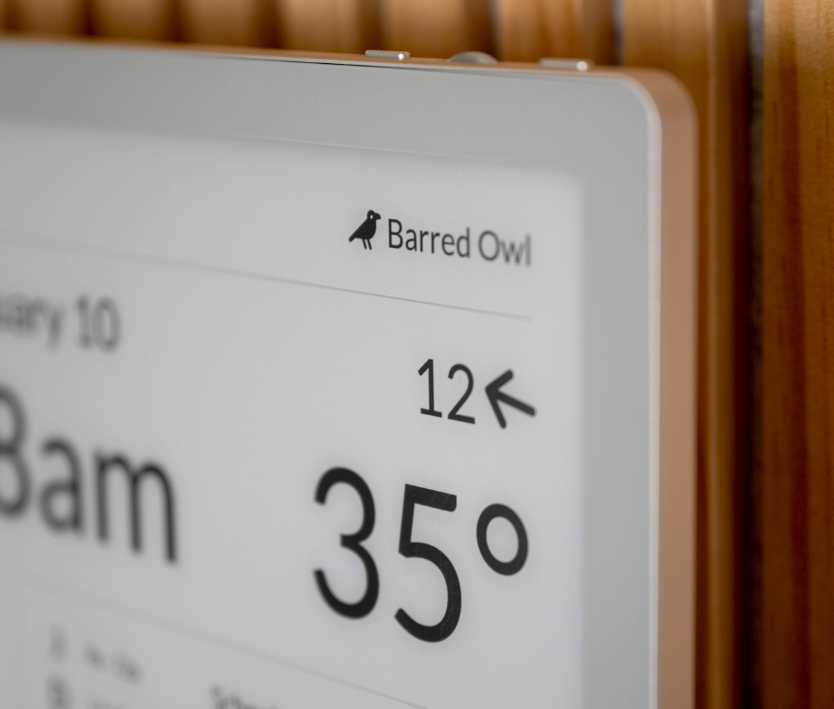 Close-up image of an e-paper display with text saying 'Barred Owl'.