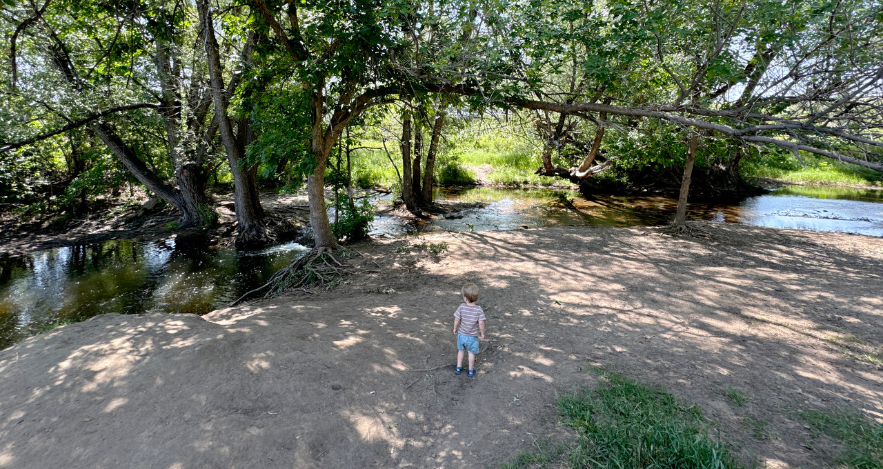 A child stands beneath trees on a quiet dirt bank at a bend in Coal Creek.