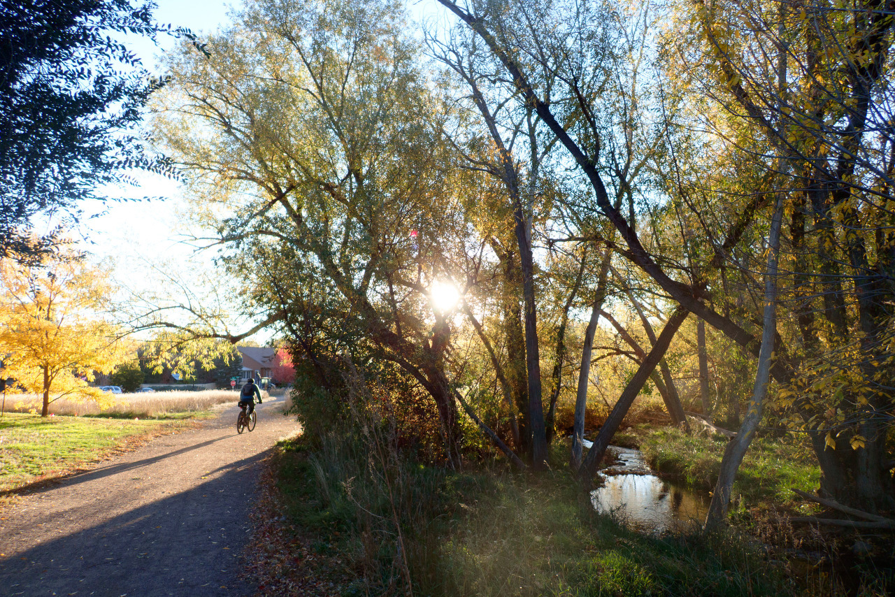 A cyclist rides beside Coal Creek under trees with golden fall leaves.