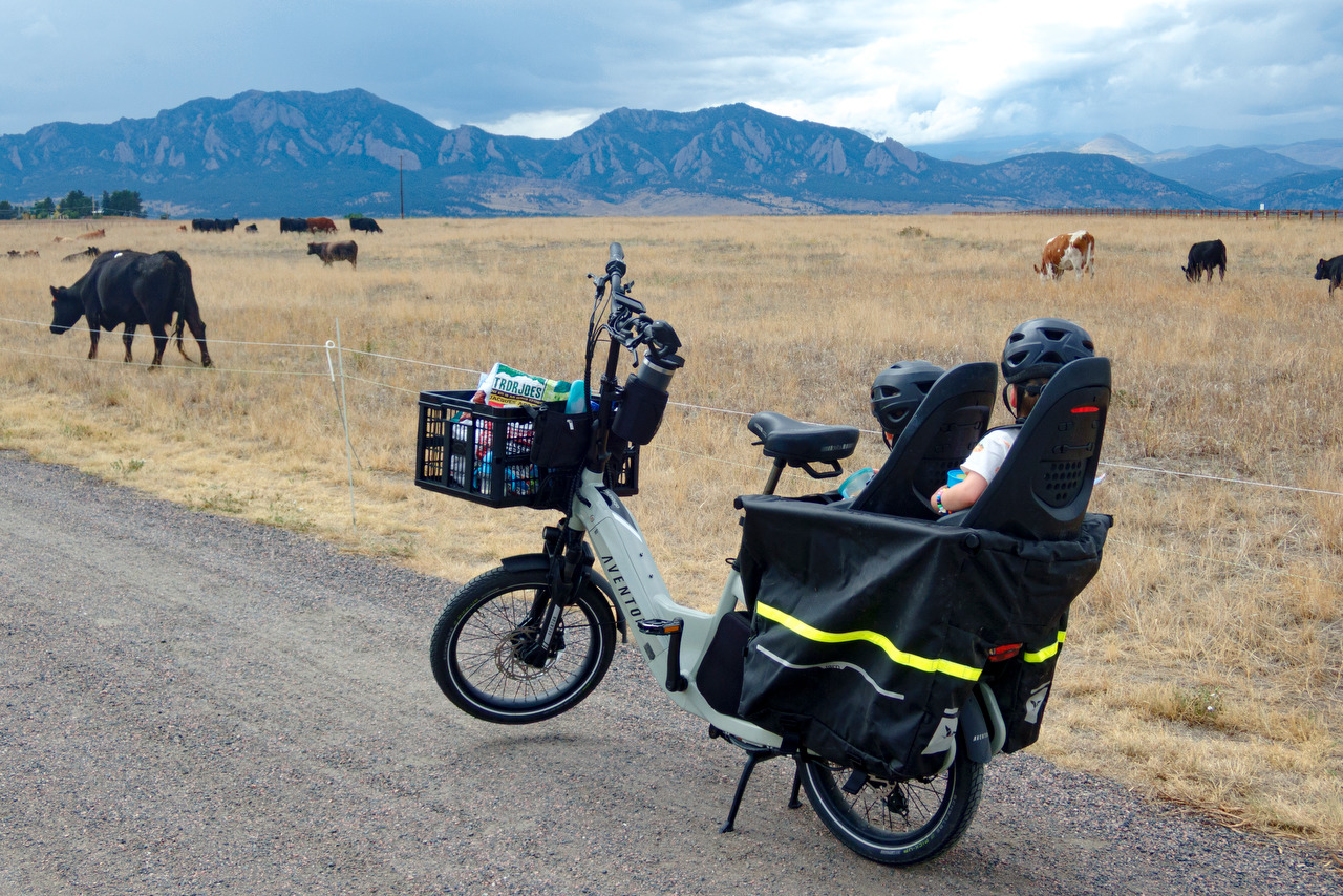 A cargo bike carrying two children is parked beside cows grazing below the Flatirons.