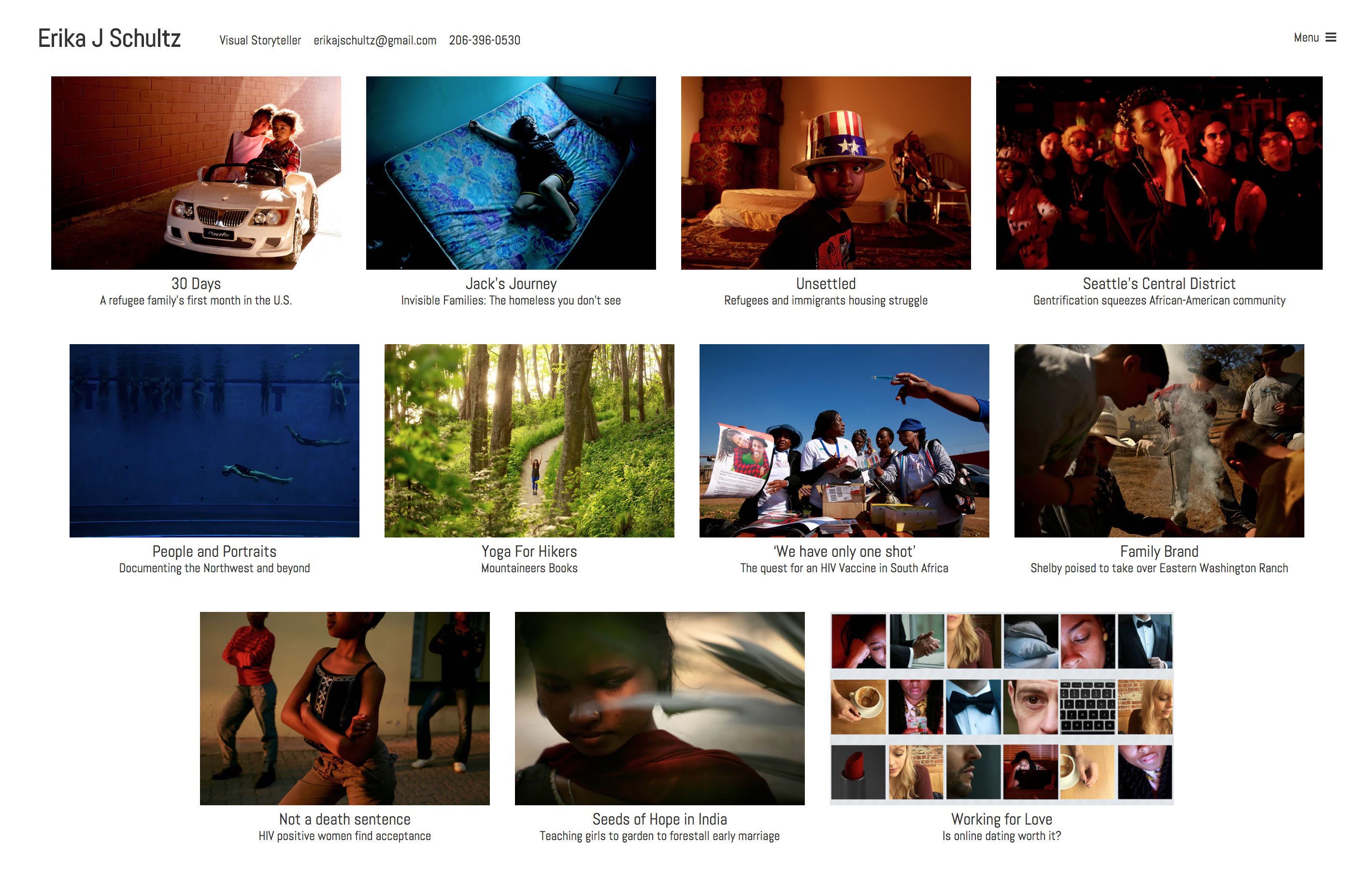 Screenshot of Erika Schultz's portfolio landing page with a grid of images from various projects